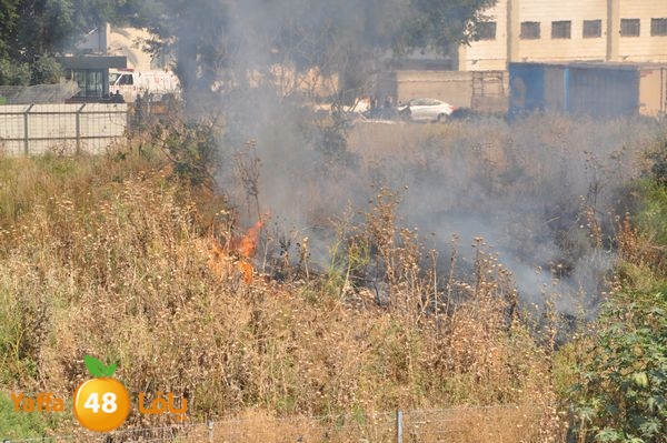 firecartoonsecnd506 (36).JPG